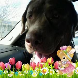 Meet your Posher, Debbie